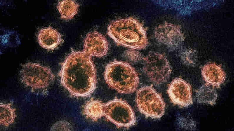 New Coronavirus Strain: కరోనా పుట్టినిల్లులో స్ట్రెయిన్ కలకలం.. తొలి కేసు నమోదు..!