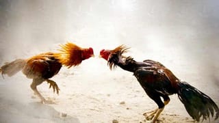 Bhogi Celebrations : ఊరూరా, వాడ.. భోగభాగ్యాల భోగి మంటలు..సందడిగా మారిన తెలుగు లోగిళ్లు