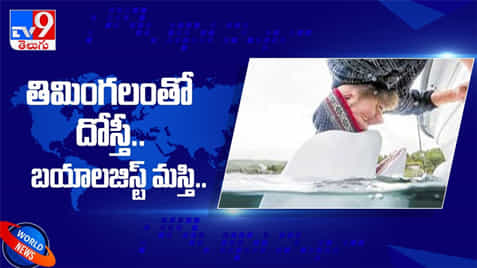 Friendship with the whale...తిమింగలంతో దోస్తీ.. బయాలజిస్ట్ మస్తీ...!
