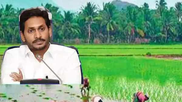 Andhra Farmers: కరోనాతో సతమతమవుతున్న ఏపీ రైతాంగానికి జగన్ సర్కార్ గుడ్ న్యూస్