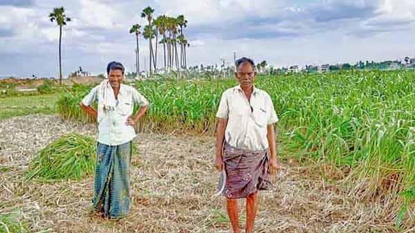 Budget 2021: బడ్జెట్ రైతుకు ఊరటనిస్తుందా? ఆందోళనల దృష్ట్యా పీఎం కిసాన్ సమ్మాన్ నిధి సాయం పెంచే అవకాశం!