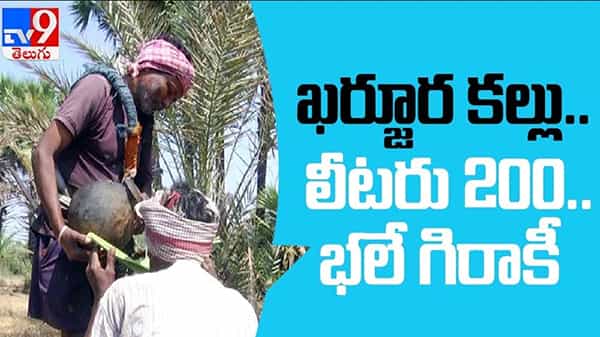 Date Liquor in Mahbubnagar Video:హాట్కేక్ల్లా అమ్ముడవుతున్న ఖర్జూర కల్లు..!
