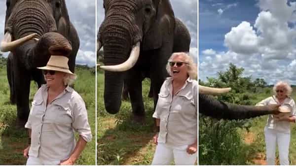 Elephant Steals Woman : ఓ మహిళతో ఆడుకున్న గజరాజు.. ఆ తర్వాతన ఏం జరిగిందంటే..! వైరల్గా మారిన వీడియో..