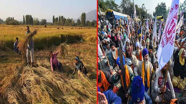 Farmers Protest:ఇది పంటకాలం మరి! రైతునేతల కొత్త ప్లాన్! నిరసన శిబిరాల వద్దకు 15 మంది చాలు! పోరుబాటలో మలుపు