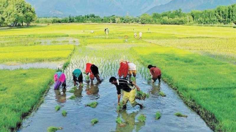 PMKY Scheme: ఈ పథకంలో మీ పేరు నమోదు చేసుకోండి.. రూపాయి చెల్లించకుండానే నెలకు రూ. 3000 పెన్షన్ అందుకోండి..