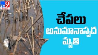 Uppena Twitter Review  Video: బొమ్మ అదిరిపోయింది… ఉప్పెన ట్విట్టర్‌ రివ్యూ..