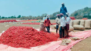 Petrol Price: వాహనదారులకు బ్యాడ్ న్యూస్.. వరుసగా ఏడో రోజూ బాదేశారు.. పెట్రోల్, డీజిల్ ధర ఎంత పెరిగిందంటే..!