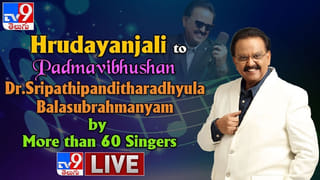 ఇబ్బందులు ఎదుర్కుంటున్న పవన్ కళ్యాణ్ మూవీ లీకుల బెడద తప్పని వకీల్ సాబ్.