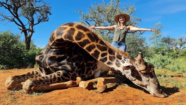 Woman Kills Giraffe :  వాలెంటైన్స్ రోజున భార్యకు భర్త కాస్టిలీ గిఫ్ట్.... ఇద్దరినీ దుమ్మెత్తిపోస్తున్న నెటిజన్లు
