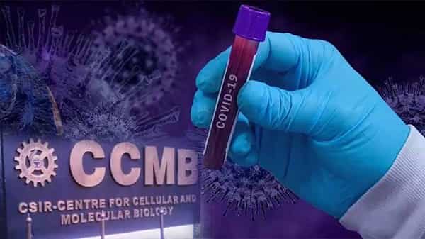 CCMB Study: షాకింగ్ న్యూస్.. భారత్లో 7,569 కరోనా వైరస్ రకాలు.. సీసీఎంబీ పరిశోధనలలో వెల్లడి
