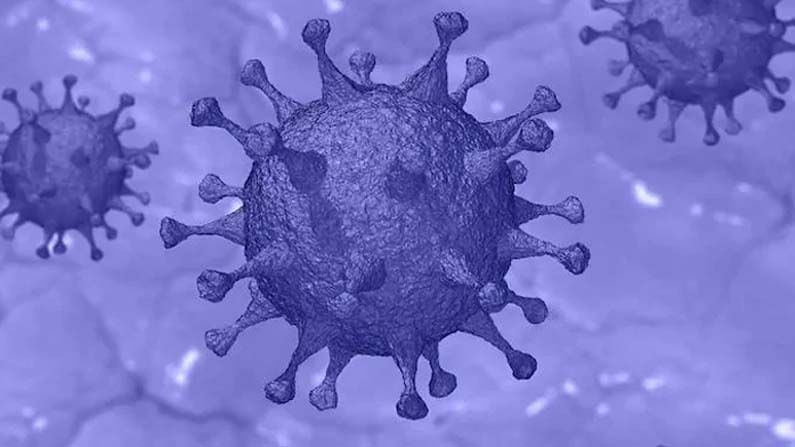 New virus: 82 దేశాల్లో వేగంగా విస్తరించిన కొత్తరకం వైరస్‌.. బ్రిటన్‌, దక్షిణాఫ్రికాల్లో గుర్తింపు