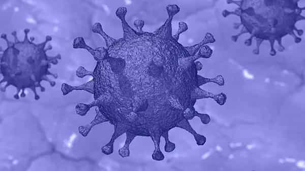 New virus: 82 దేశాల్లో వేగంగా విస్తరించిన కొత్తరకం వైరస్.. బ్రిటన్, దక్షిణాఫ్రికాల్లో గుర్తింపు