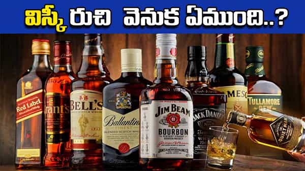 Whiskey: వైన్ మాదిరిగా పర్యావరణ పరిస్థితులు విస్కీ రుచిని ప్రభావితం చేస్తాయా..? విస్కీ రుచి వెనుక ఏముంది..?
