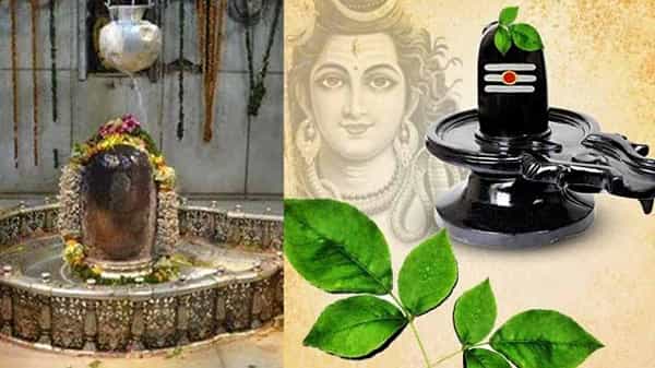 శివుడిని బిల్వ పత్రాలతో ఎందుకు పూజిస్తారు ? సోమవారం బిల్వనీటితో అభిషేకం చేయడానికిగల అంతర్యం..