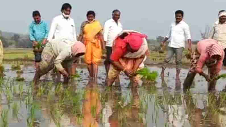 Telangana: మహిళా కూలీలతో కలిసి పాటలు పాడుతూ వరిపొలంలో నాట్లు వేస్తున్న ఈ ఎమ్మెల్యేను గుర్తుపట్టారా..?