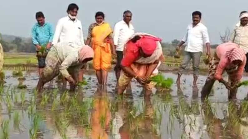 Telangana: మహిళా కూలీలతో కలిసి పాటలు పాడుతూ వరిపొలంలో నాట్లు వేస్తున్న ఈ ఎమ్మెల్యేను గుర్తుపట్టారా..?