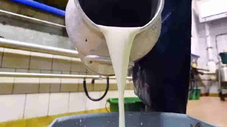 Kurnool milk in kgs: కర్నూలు జిల్లాలో కేజీలలో పాలు అమ్ముతున్న పాడి రైతులు.. ధర రూ.33 మాత్రమే.. !