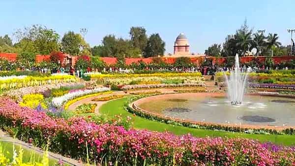 Mughal Garden: నేటినుంచి రాష్ట్రపతి భవన్లో ఉద్యానోత్సవ్.. పర్యాటకులను ఎప్పటినుంచి అనుమతిస్తారంటే..?