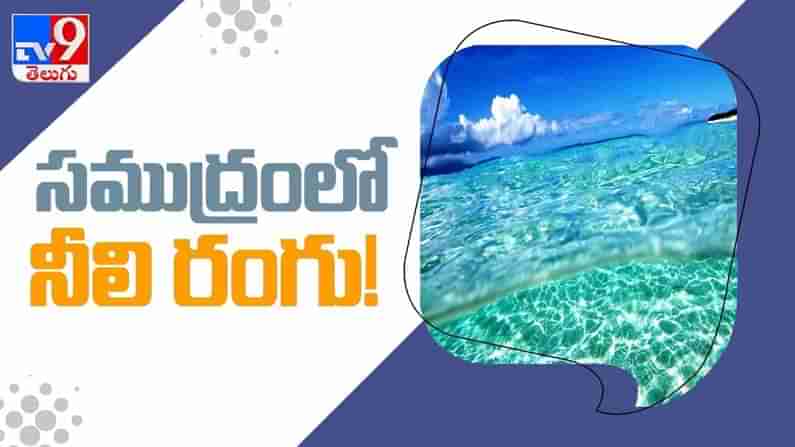 Ocean blue : సముద్రం నీరు ఎప్పుడూ నీలం రంగులోనే ఉండేందుకు గల కారణం..