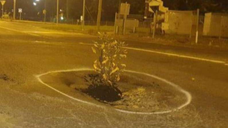 Plant Tree in Pothole: రోడ్డు రిపేర్ చేయడంలో అధికారుల నిర్లక్ష్యం.. గుంటలో మొక్కనాటి స్థానికుల నిరసన.. ఎక్కడంటే