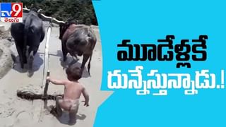Donations for Ram Mandir Video: అయోధ్య రామ మందిరం వెల్లువెత్తున్న విరాళాలు.
