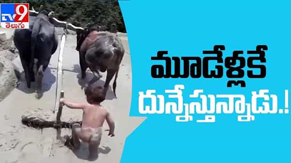 Trending Video: ..పొలం దున్నుతున్నా మూడేళ్ల బాలుడి .. సోషల్ మీడియాలో వీడియో ట్రెండింగ్