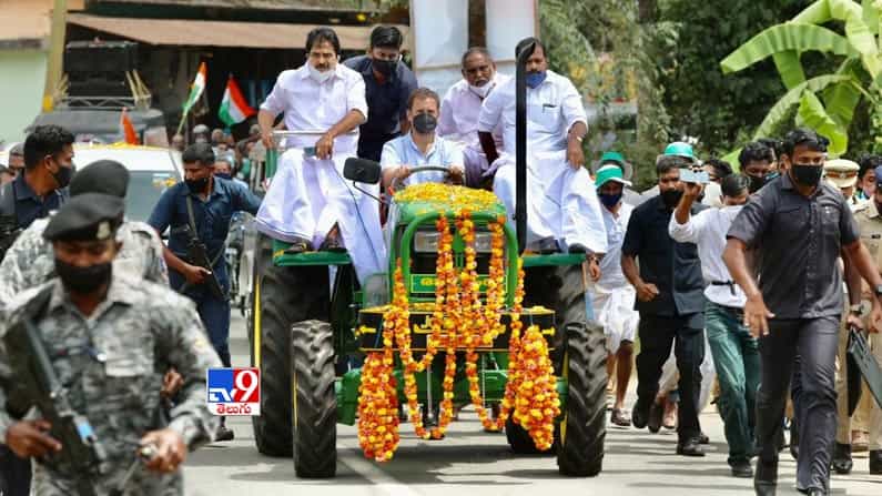 ట్రాక్టర్ నడిపిన  చేసిన కాంగ్రెస్ నేత రాహుల్ గాంధీ. 