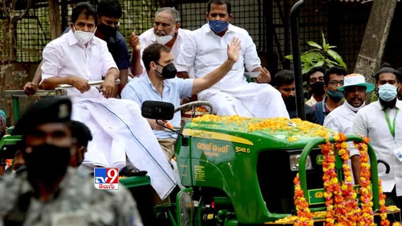 ట్రాక్టర్ నడిపిన  చేసిన కాంగ్రెస్ నేత రాహుల్ గాంధీ. 