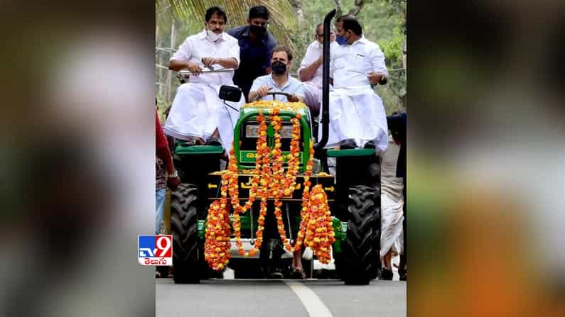 ట్రాక్టర్ నడిపిన  చేసిన కాంగ్రెస్ నేత రాహుల్ గాంధీ. 