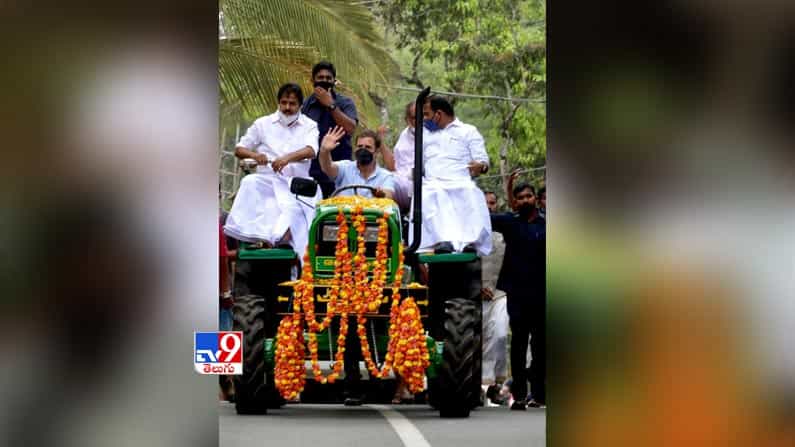 ట్రాక్టర్ నడిపిన  చేసిన కాంగ్రెస్ నేత రాహుల్ గాంధీ. 
