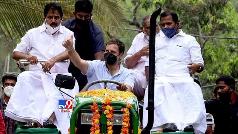 ట్రాక్టర్ నడిపిన  చేసిన కాంగ్రెస్ నేత రాహుల్ గాంధీ. 