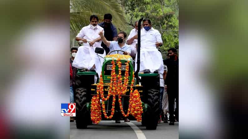 ట్రాక్టర్ నడిపిన  చేసిన కాంగ్రెస్ నేత రాహుల్ గాంధీ. 