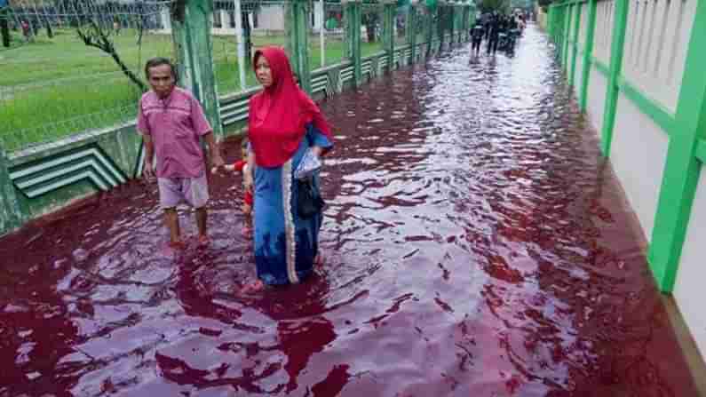 Red Floods: వీధుల్లో ప్రవహించిన రక్తపు వరద.. ఆందోళనలో ప్రజలు... ఇంతకీ అసలు విషయమేంటంటే..