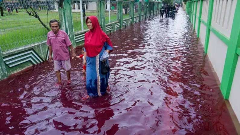 Red Floods: వీధుల్లో ప్రవహించిన 'రక్తపు వరద'.. ఆందోళనలో ప్రజలు... ఇంతకీ అసలు విషయమేంటంటే..