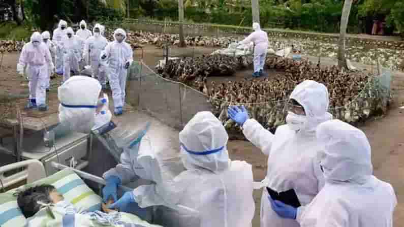 Bird Flu: షాకింగ్‌ న్యూస్‌.. మనుషులకూ బర్డ్‌ ఫ్లూ.. మొదటి కేసు గుర్తించిన వైద్య నిపుణులు.. ఎక్కడంటే..