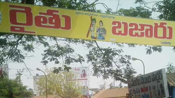 AP Local Body Elections: గుంటూరులో దారుణం.. సర్పంచ్గా నామినేషన్ వేశాడని రైతుబజార్లో షాపులు మూసివేయించారు..