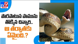 Facebook Live Streaming Video:ప్రాణం తీసిన ఫేస్‌బుక్‌ లైవ్‌ ఇద్దరు మృతి