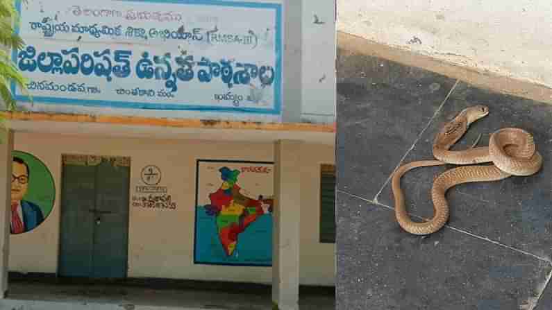 Snake at school: బడికొచ్చిన కోడెత్రాచు.. విద్యార్థులు, సిబ్బంది భయంతో పరుగులు.. చివరకు