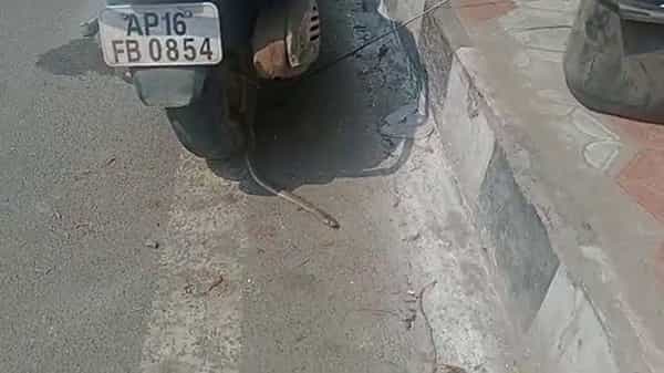 Snake in Scooty: మహిళ స్కూటీలో నక్కిన త్రాచుపాము.. దారిలో వెళ్తుండగా చేతికి మెత్తగా తగలడంతో..