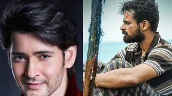 Mahesh Babu: ఉప్పెనపై కొనసాగుతోన్న సెలబ్రిటీల ప్రశంసలు.. వరుస ట్వీట్లు చేసిన టాలీవుడ్ ప్రిన్స్..