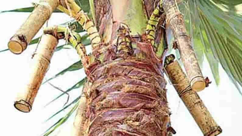 బొంగులో చికెన్ ఓల్డ్ ట్రెండ్.. బొంగులో కల్లు నయా ట్రెండ్.. తెలంగాణలోని ఆ జిల్లాకి కల్లు ప్రియులు క్యూ