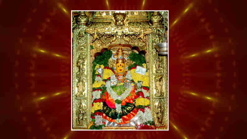 Vasantha Panchami: సరస్వతీ దేవీగా దర్శనమిస్తున్న విజయవాడ దుర్గమ్మ.. ఇంద్రకీలాద్రికి పోటెత్తిన భక్తులు..