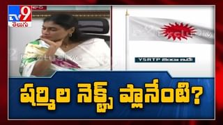 Minister Peddireddy Ramachandra Reddy Video: మీడియా సమావేశం నిర్వహించేందుకు మంత్రి పెద్దిరెడ్డి రామచంద్రారెడ్డి కి హైకోర్టు అనుమతి