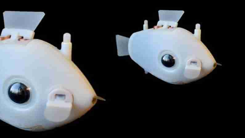 Robot Fish: చేపల్లాంటి చేపలు.. కానీ ఇవి రోబోలు.. నీటి అడుగున ఇవి ఏం చేస్తాయో తెలుసా..