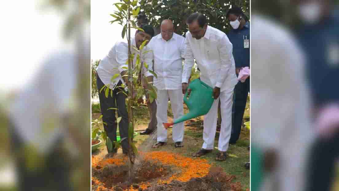 తెలంగాణలో విజయవంతమైన కోటి వృక్షార్చన.. ఇంతకీ సీఎం కేసీఆర్ ఏ మొక్క నాటారో తెలుసా..?