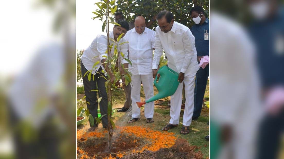 తెలంగాణలో విజయవంతమైన 'కోటి వృక్షార్చన'.. ఇంతకీ సీఎం కేసీఆర్ ఏ మొక్క నాటారో తెలుసా..?