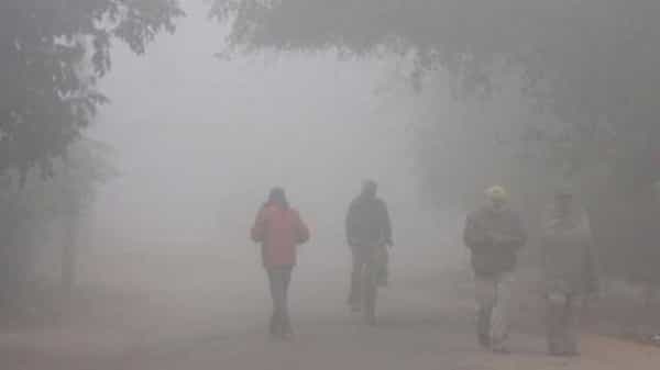 Cold Waves in Telangana: తెలంగాణాలో పంజా విసురుతున్న చలి పులి.. తగ్గుతున్న ఉష్ణోగ్రతలు