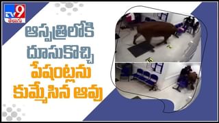 Focus on Fat Loss:  శరీరం బరువు తగ్గడానికి.. కొవ్వు తగ్గడానికి తేడా ఏమిటి..? ఆరోగ్యానికి ఏది మంచిదో తెలుసా..!