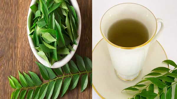 Curry Leaves Tea : డయాబెటిస్ వారికి ఫ్రెండ్లీ టీ కరివేపాకు టీ.. ఇది తాగడం వల్ల కలిగే ప్రయోజనాలు తెలిస్తే వదలురుగా..!