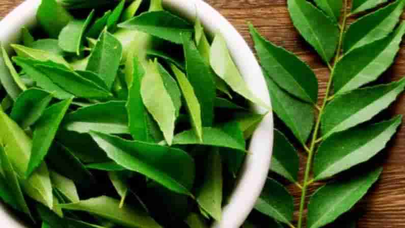 Curry Leaves: ‘కరివేపాకు’ను అలా తీసిపారేయకండి.. ఎన్నో రోగాలకు దివ్య ఔషధం.. ఎందుకో తెలుసా..?